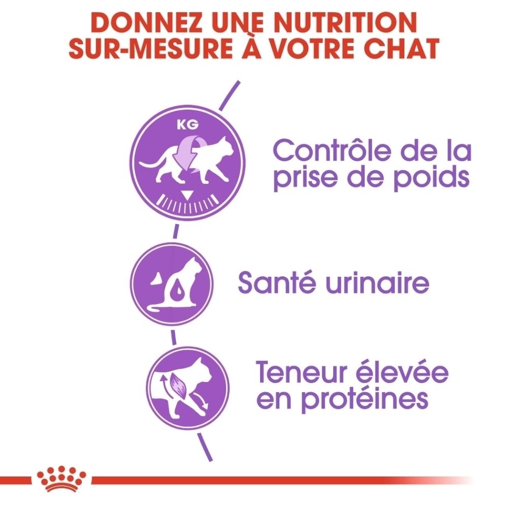 Drei Icons: Gewichtsmanagement, Harnweggesundheit, hoher Proteingehalt. Titel: "Maßgeschneiderte Ernährung für Ihre Katze".