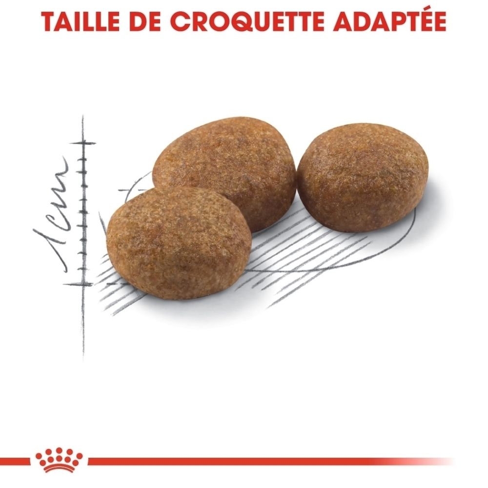Drei braune Kroketten mit einem Maßstab von 1 cm daneben.