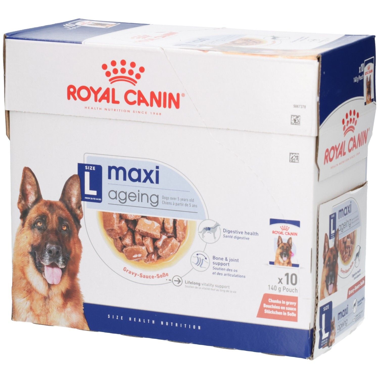 Royal Canin Maxi Ageing: Großpackung mit 10 Beuteln à 140g für Hunde ab 5 Jahren.