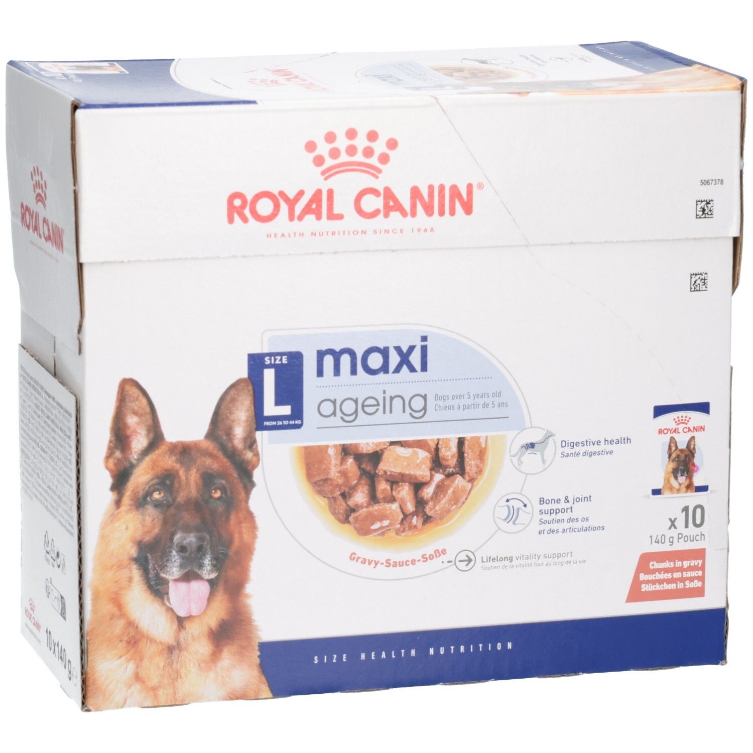 Royal Canin Maxi Ageing: Großpackung mit 10 Beuteln à 140g, zeigt Hund und Produktbild.