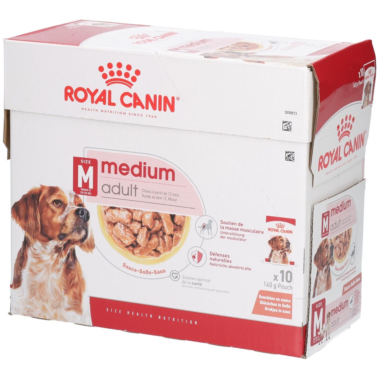 Royal Canin Medium Adult Hundefutter-Box, 10x140g Beutel. Vorderseite mit Hundebild und Produktinformationen.