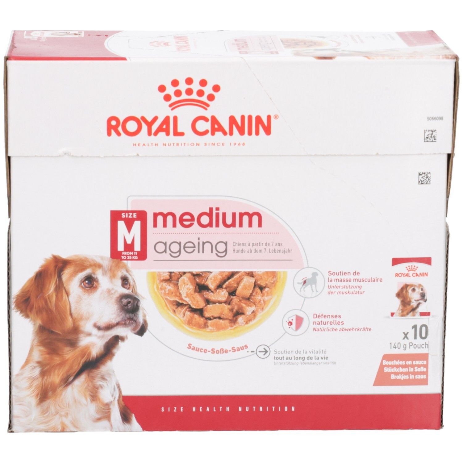 Royal Canin Medium Ageing Hundefutter-Box, 10x140g Beutel. Vorderansicht mit Hundebild und Produktname.