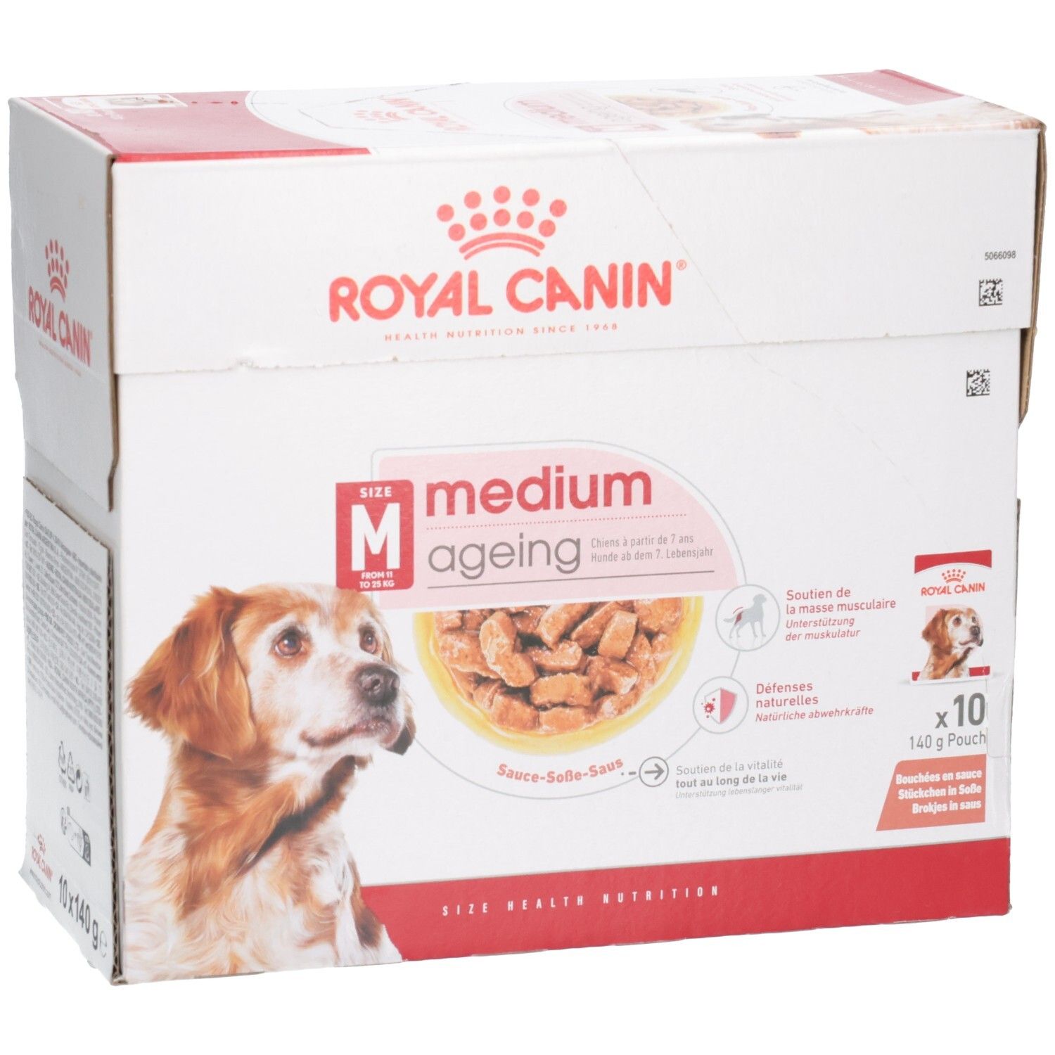 Royal Canin Medium Ageing Hundefutter-Box, 10x140g Beutel. Detailansicht der Vorderseite mit Hundebild.