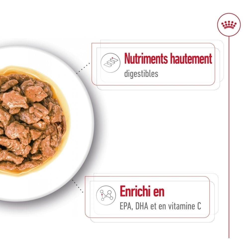 Gros plan de nourriture Royal Canin X-Small Adult pour chien en sauce.