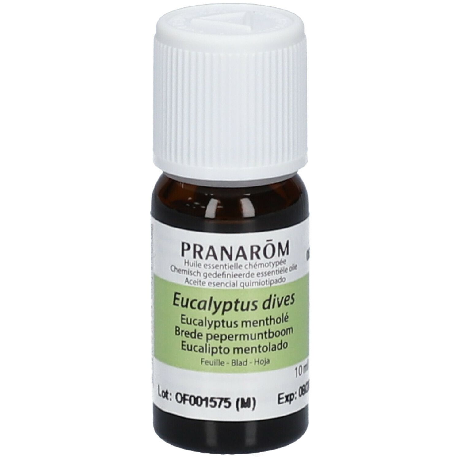 PRANAROM Eukalyptus Minze