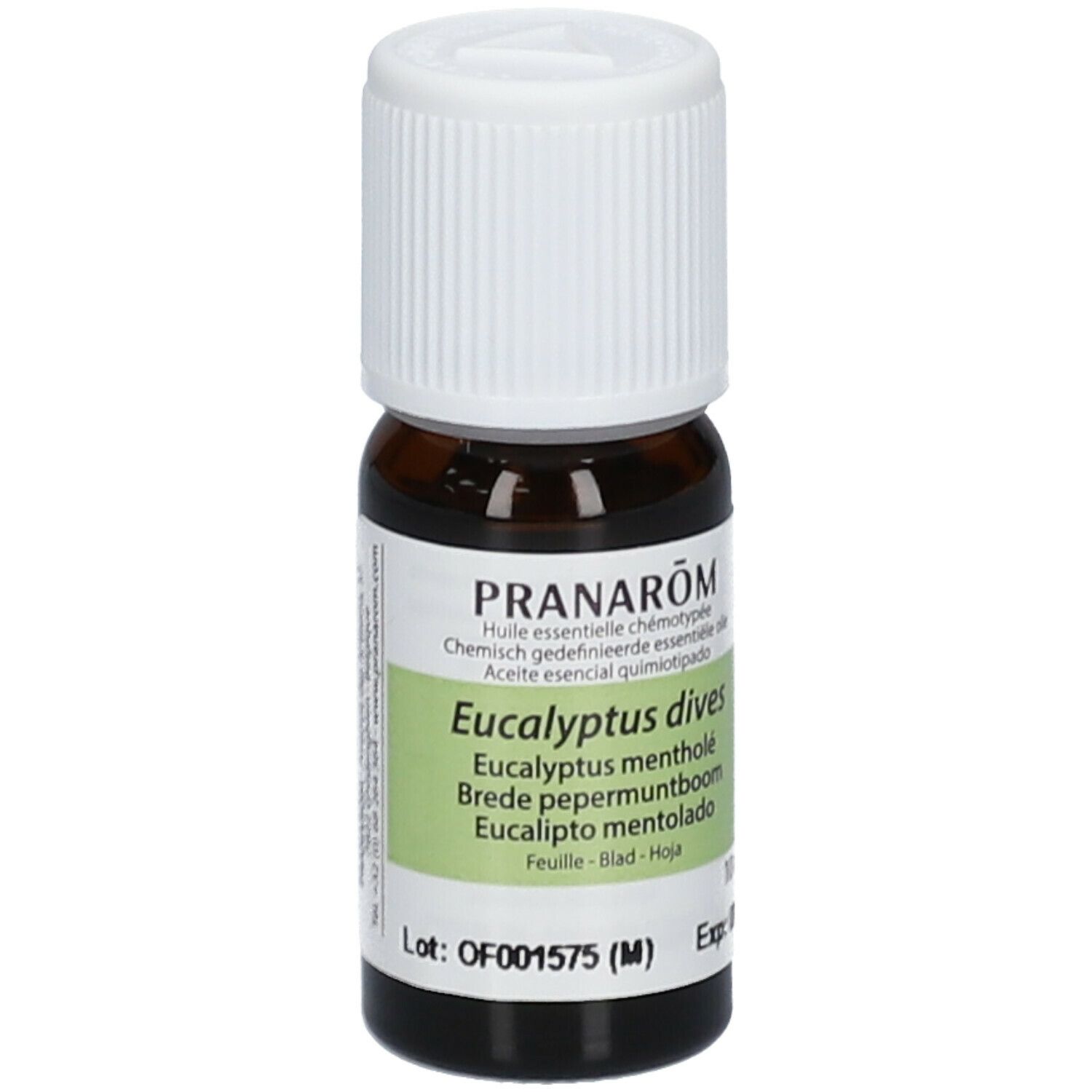 PRANAROM Eukalyptus Minze