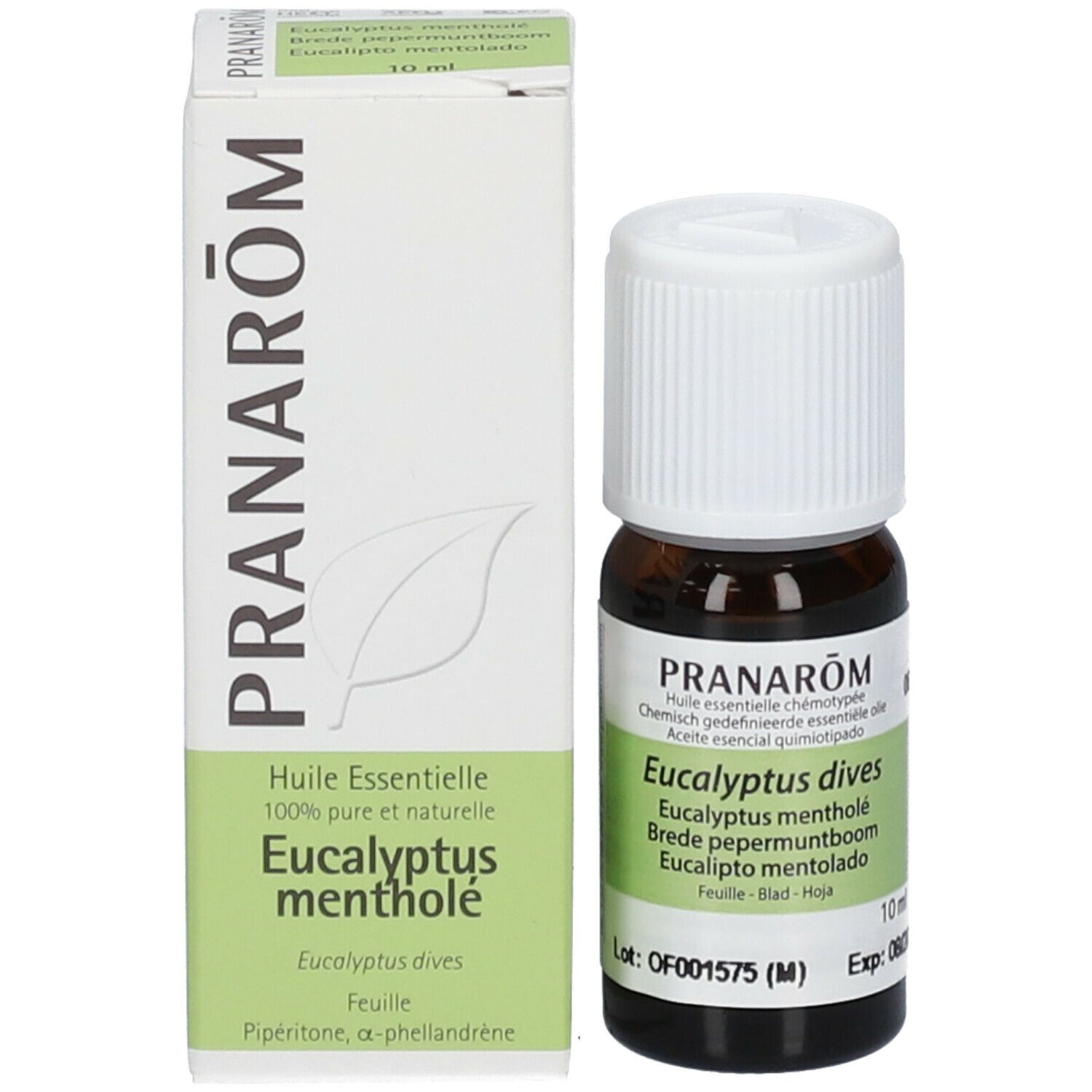 PRANAROM Eukalyptus Minze