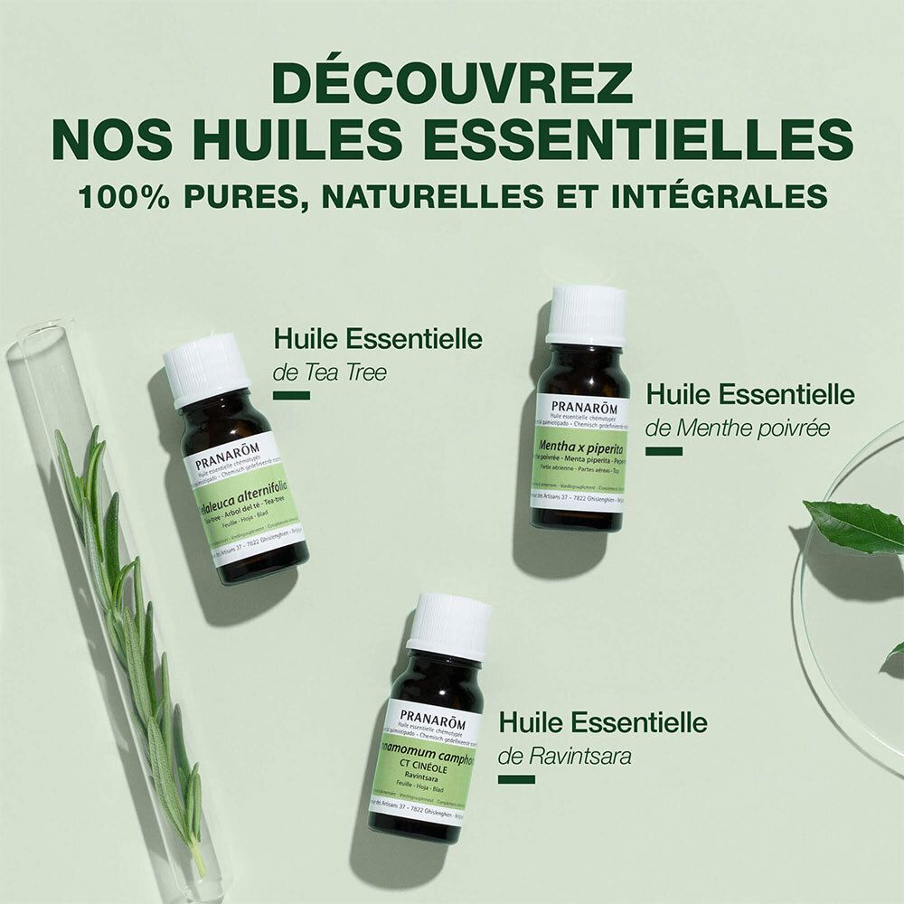 Trois flacons Pranarom. Texte: Découvrez nos huiles essentielles. Tea Tree, Menthe poivrée, Ravintsara.