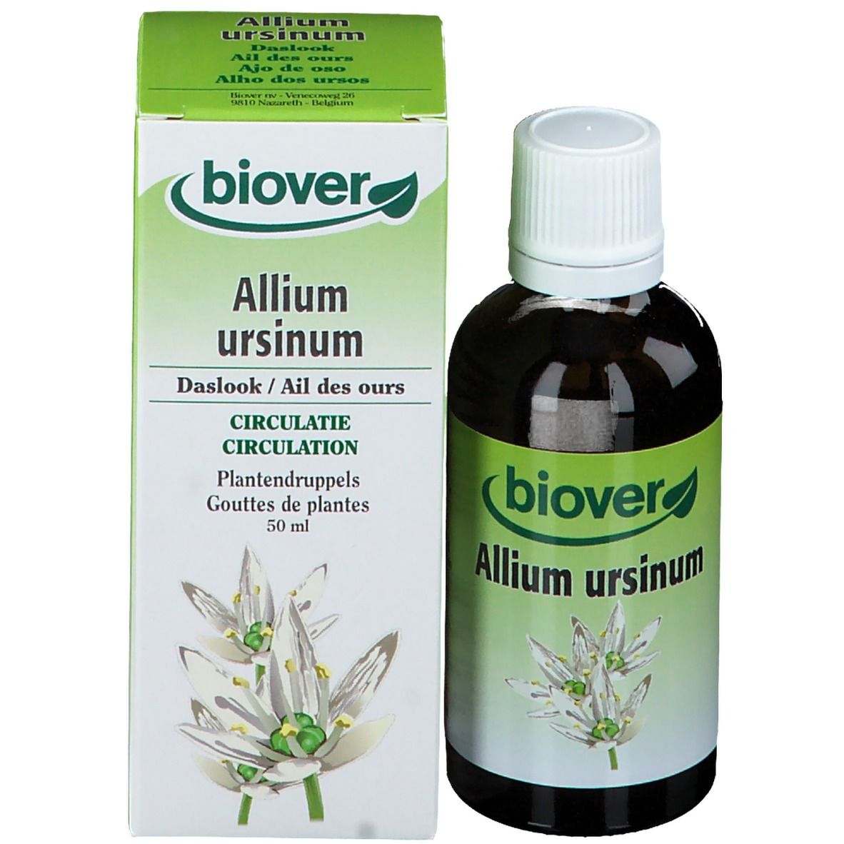 Biover Allium Ursinum