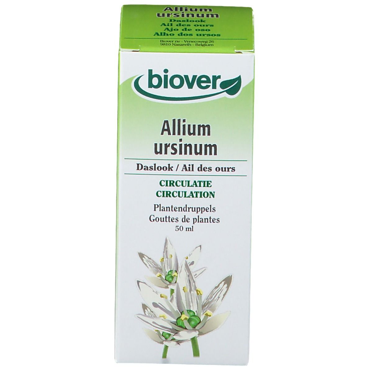 Biover Allium Ursinum