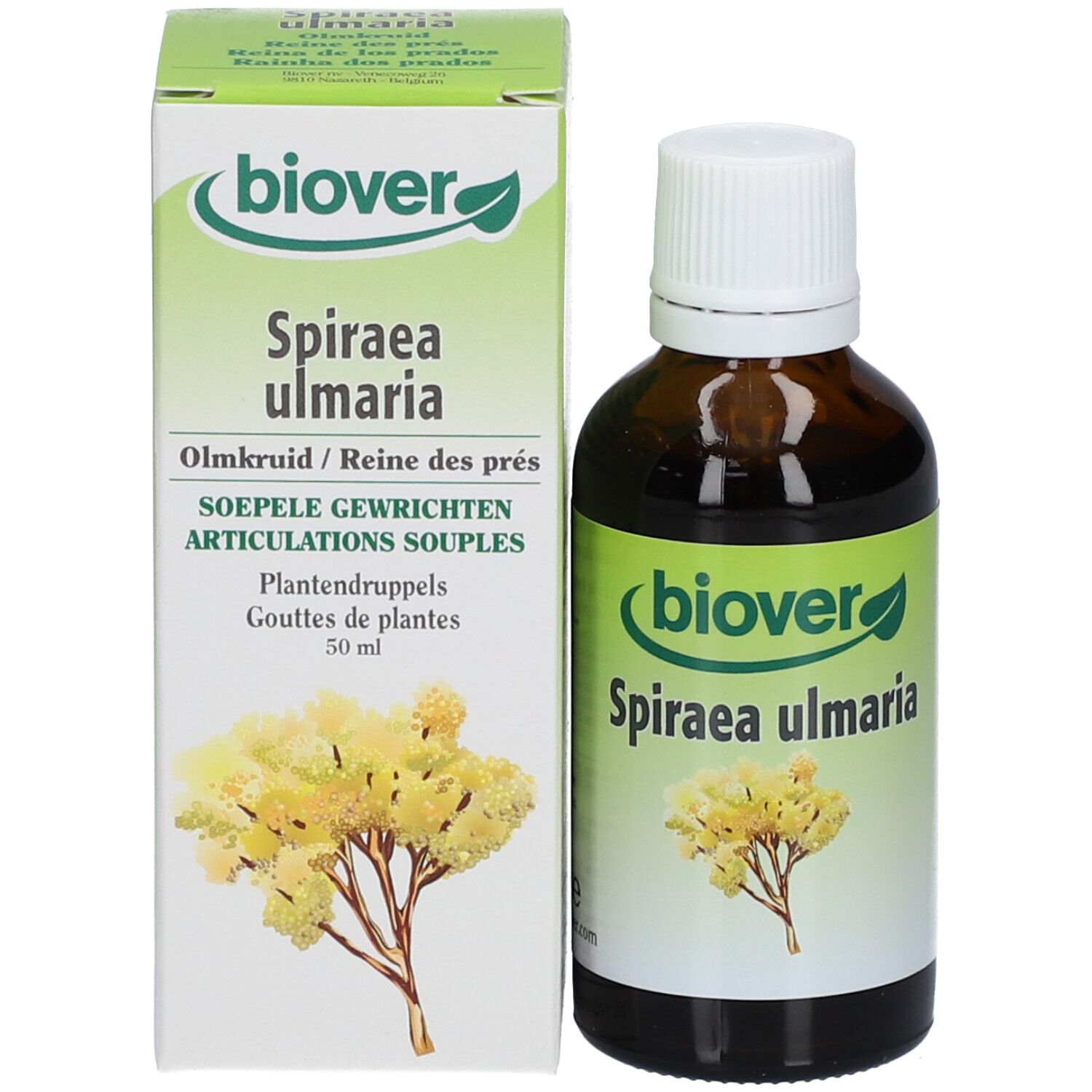 biover Spiraea ulmaria Bio Tinktur