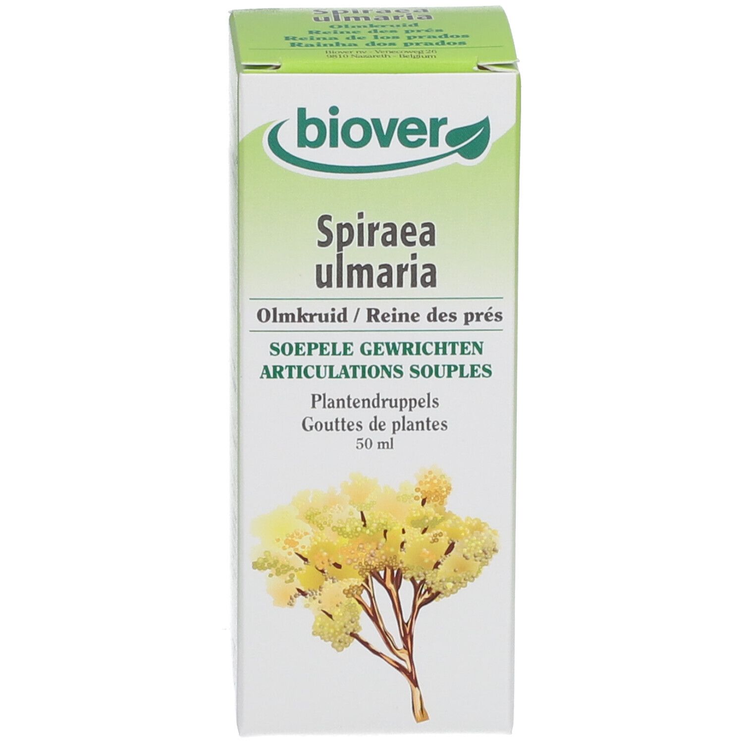 biover Spiraea ulmaria Bio Tinktur