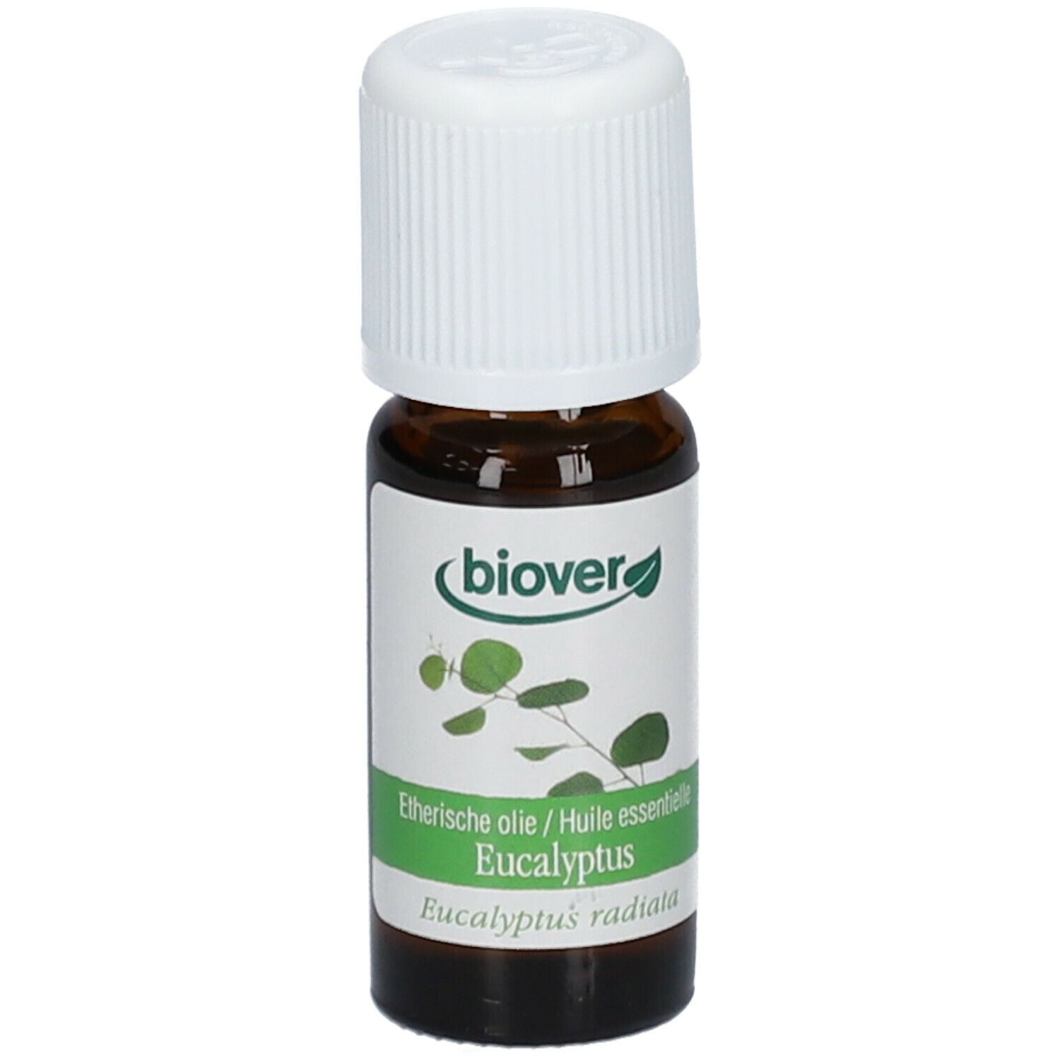 Biover Ätherisches Öl Eucalyptus Radiata