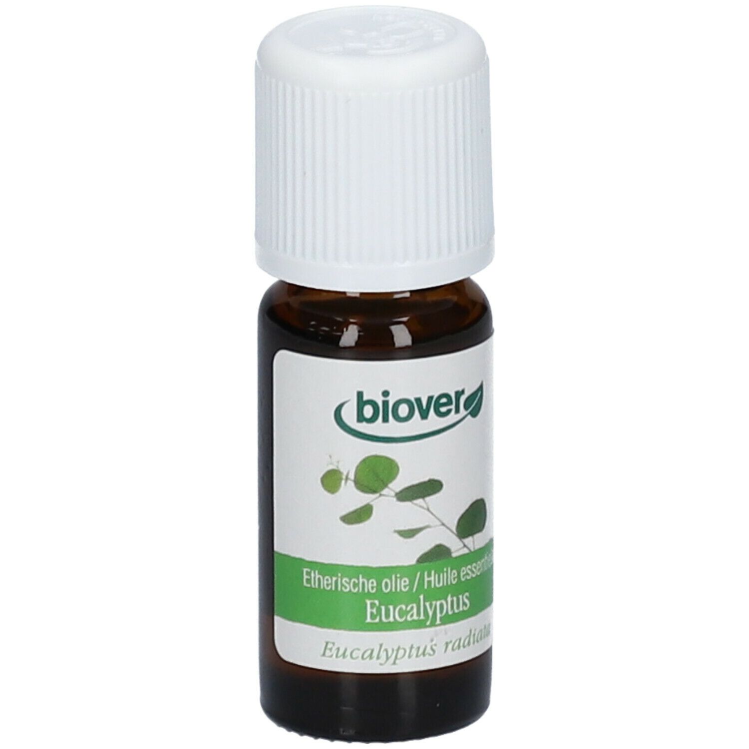 Biover Ätherisches Öl Eucalyptus Radiata