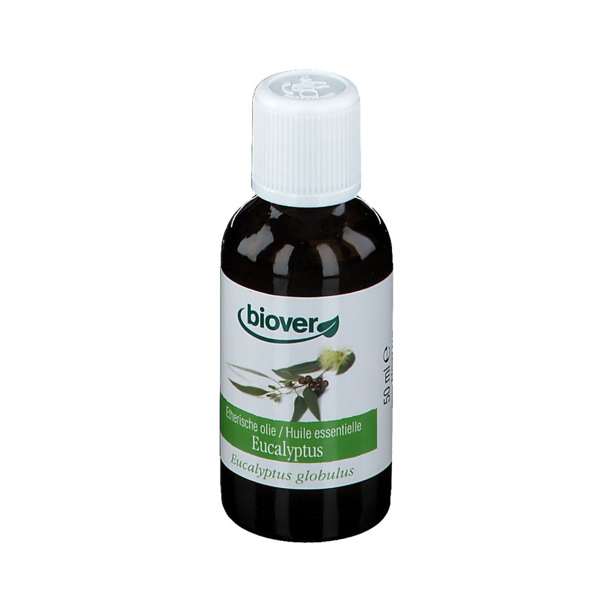 Biover Eucalyptus Globulus Huile Essentielle Bio