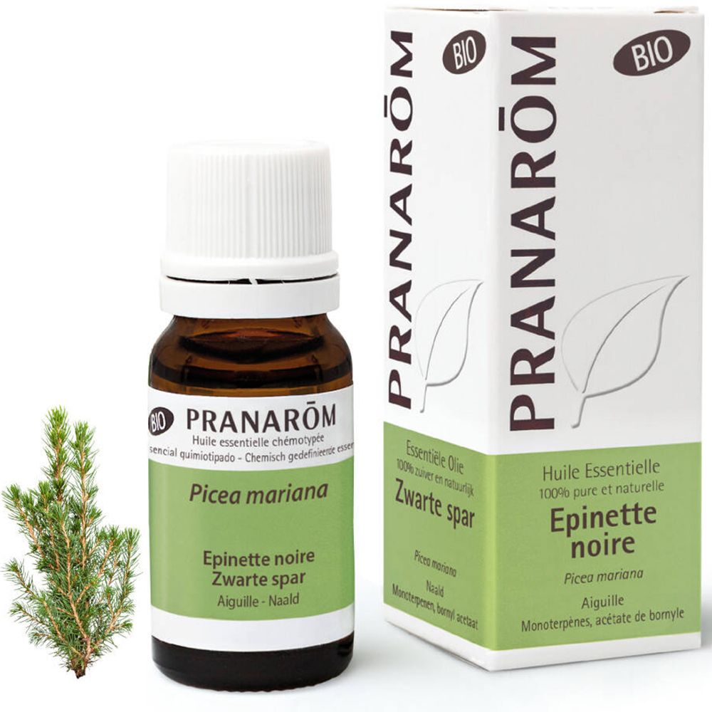 Pranarom Epinette noire Bio