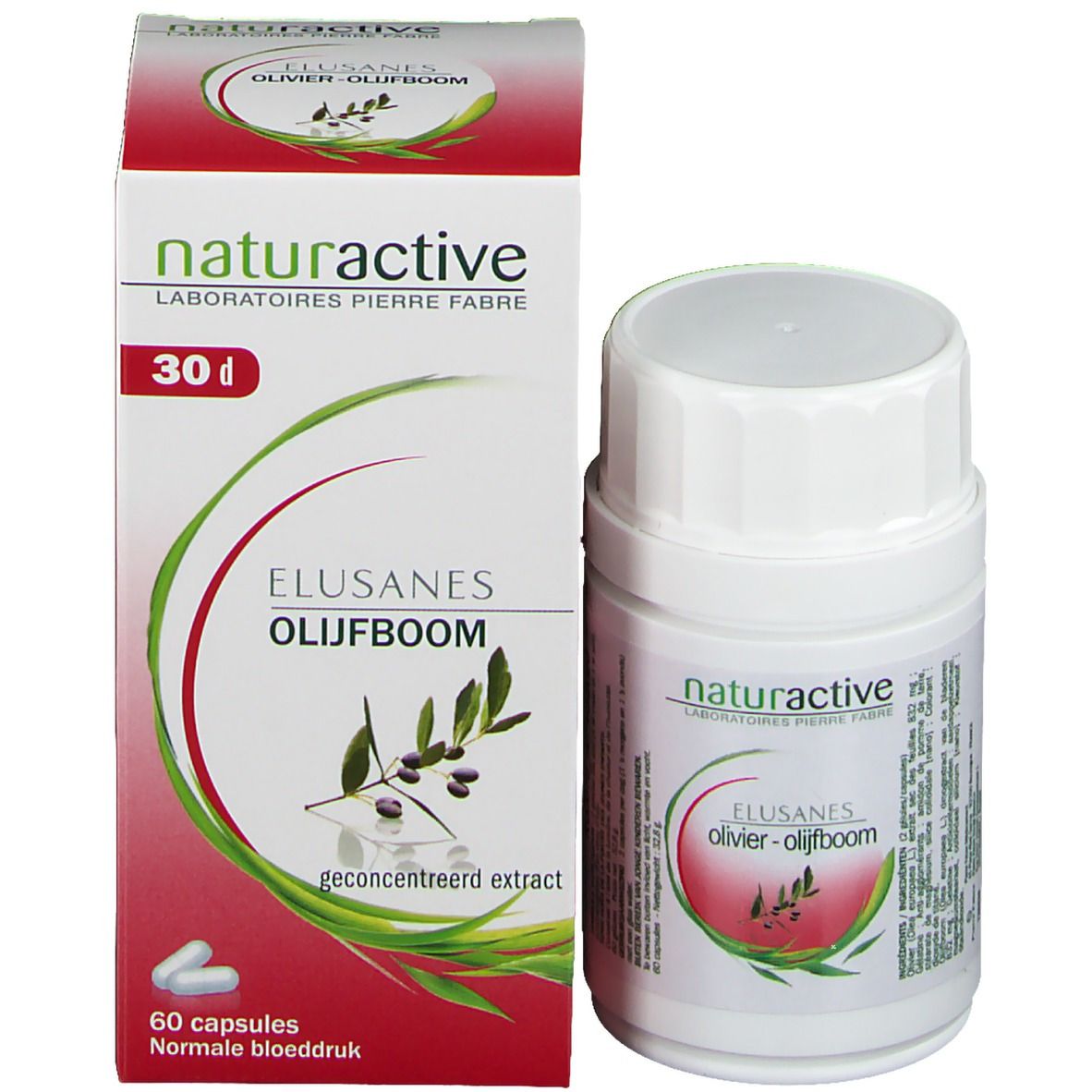 Elusanes Olivier Feuille