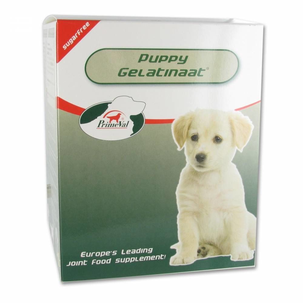Boîte blanche avec le nom du produit Puppy Gelatinaat. Un chiot est représenté. Texte : Europe's Leading Joint Food Supplement.