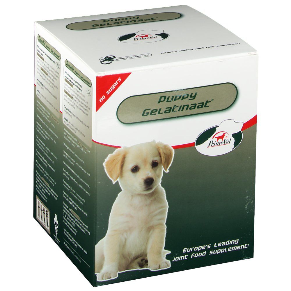 Boîte blanche avec le nom du produit Puppy Gelatinaat. Un chiot est représenté. Texte : Europe's Leading Joint Food Supplement. Impression : no sugars.
