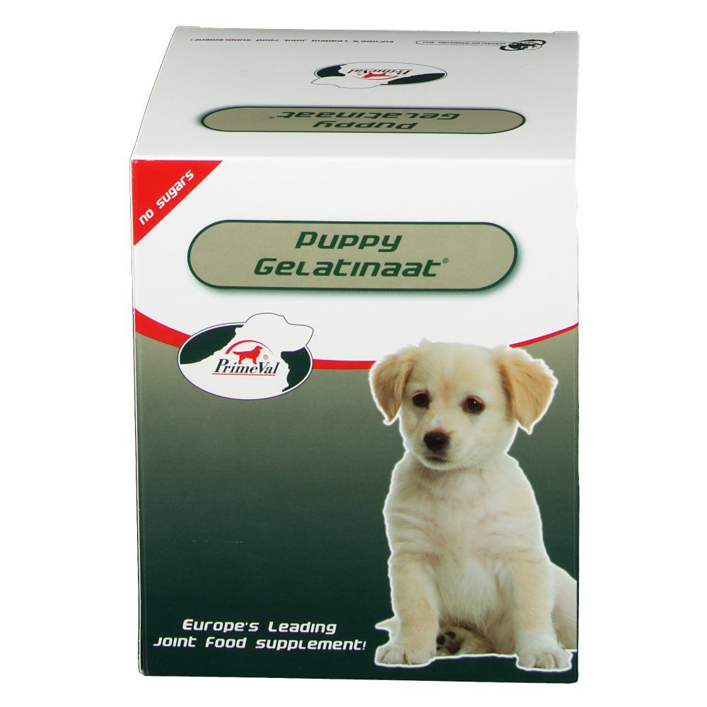Boîte blanche avec le nom du produit Puppy Gelatinaat. Un chiot est représenté. Texte : Europe's Leading Joint Food Supplement. Impression : no sugars.
