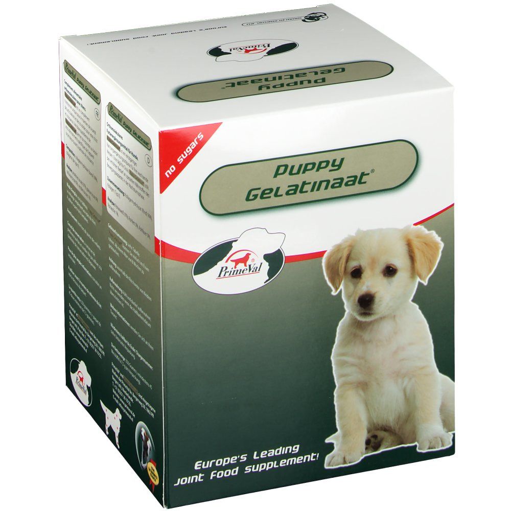 Boîte blanche avec le nom du produit Puppy Gelatinaat. Un chiot est représenté. Texte : Europe's Leading Joint Food Supplement. Impression : no sugars.