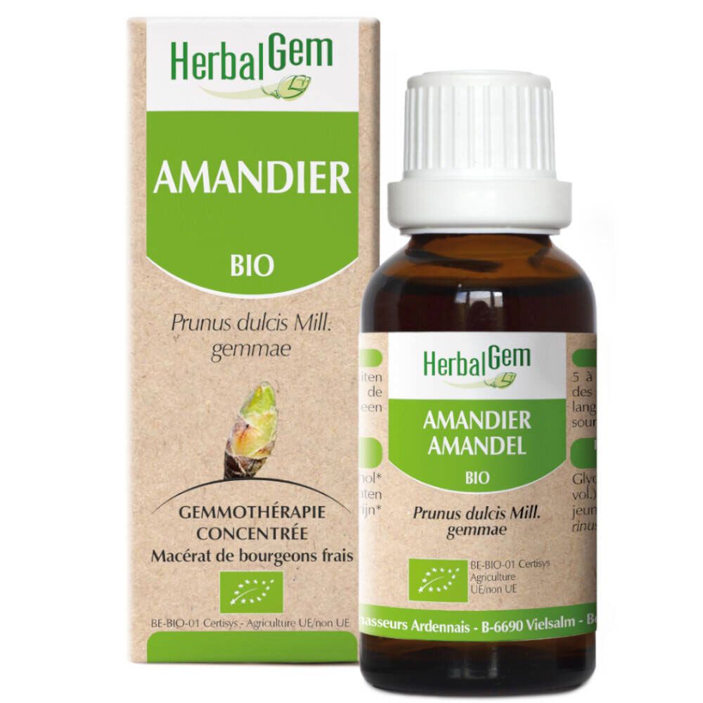 HerbalGem Amandier Macérat Bio