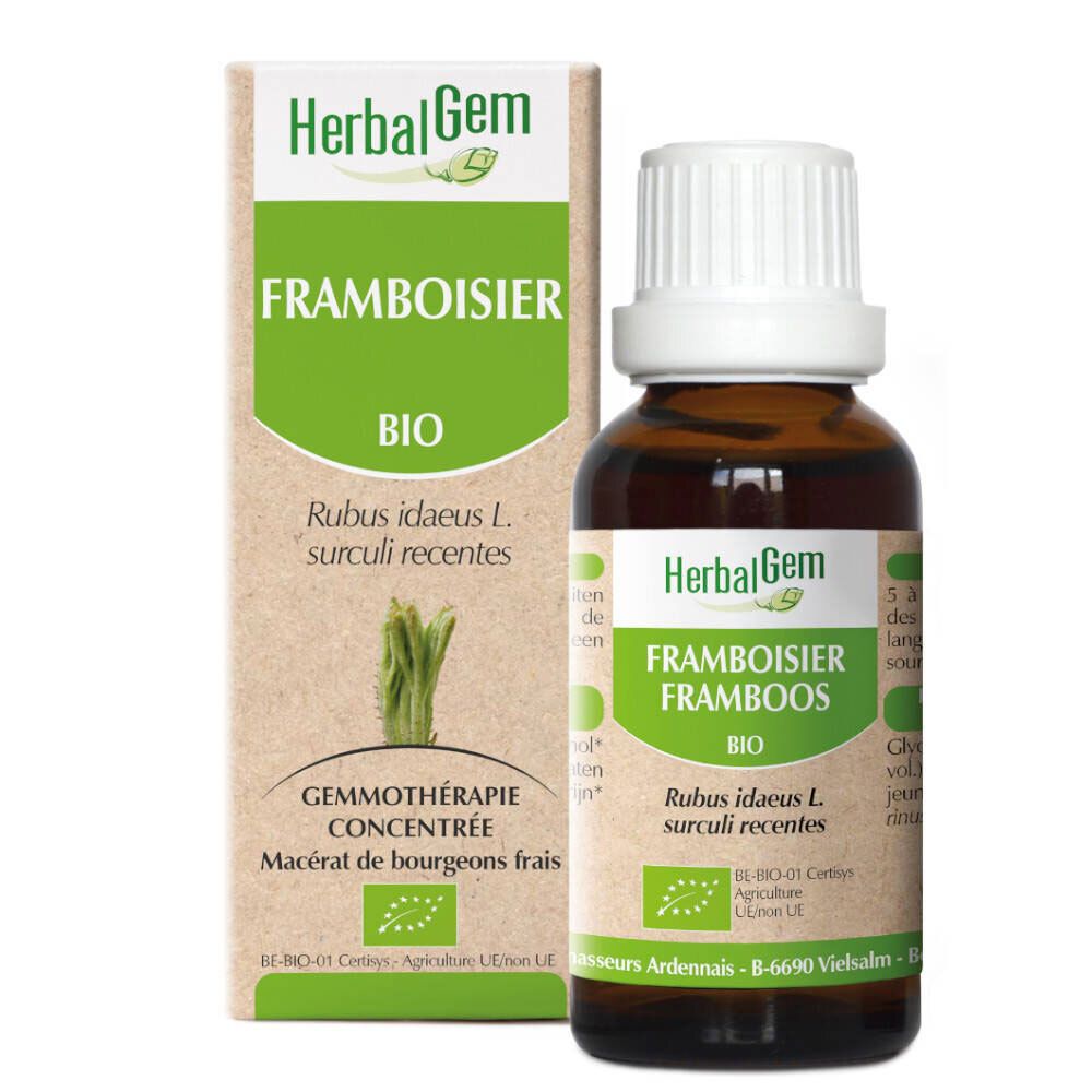 HerbalGem Himbeerstrauch Bio