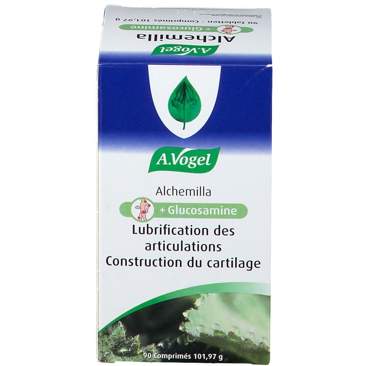 Weiße Schachtel mit Aufschrift: A.Vogel Alchemilla + Glucosamine. Text: Lubrication des articulations, Construction du cartilage.