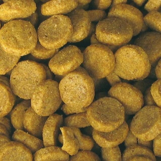 Haufen von runden, hellbraunen, getreideartigen Pellets. Die Pellets sind flach und haben eine unebene Oberfläche.