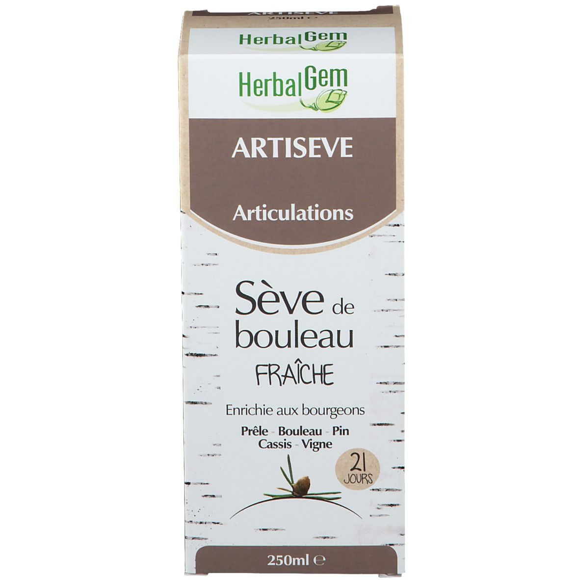 HerbalGem Artiseve Gelenke