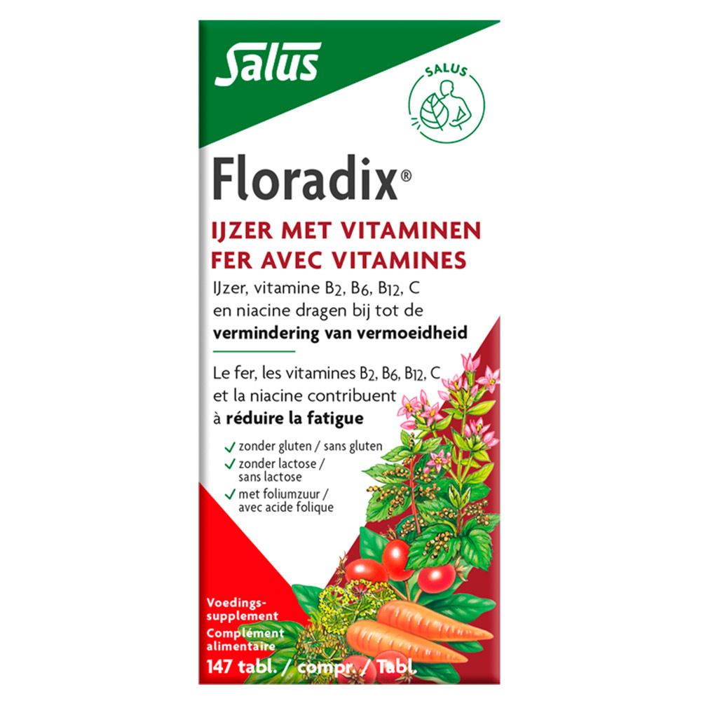 Boîte de Floradix® Eisentabletten. Rouge, avec nom du produit et illustrations de légumes et d'herbes.