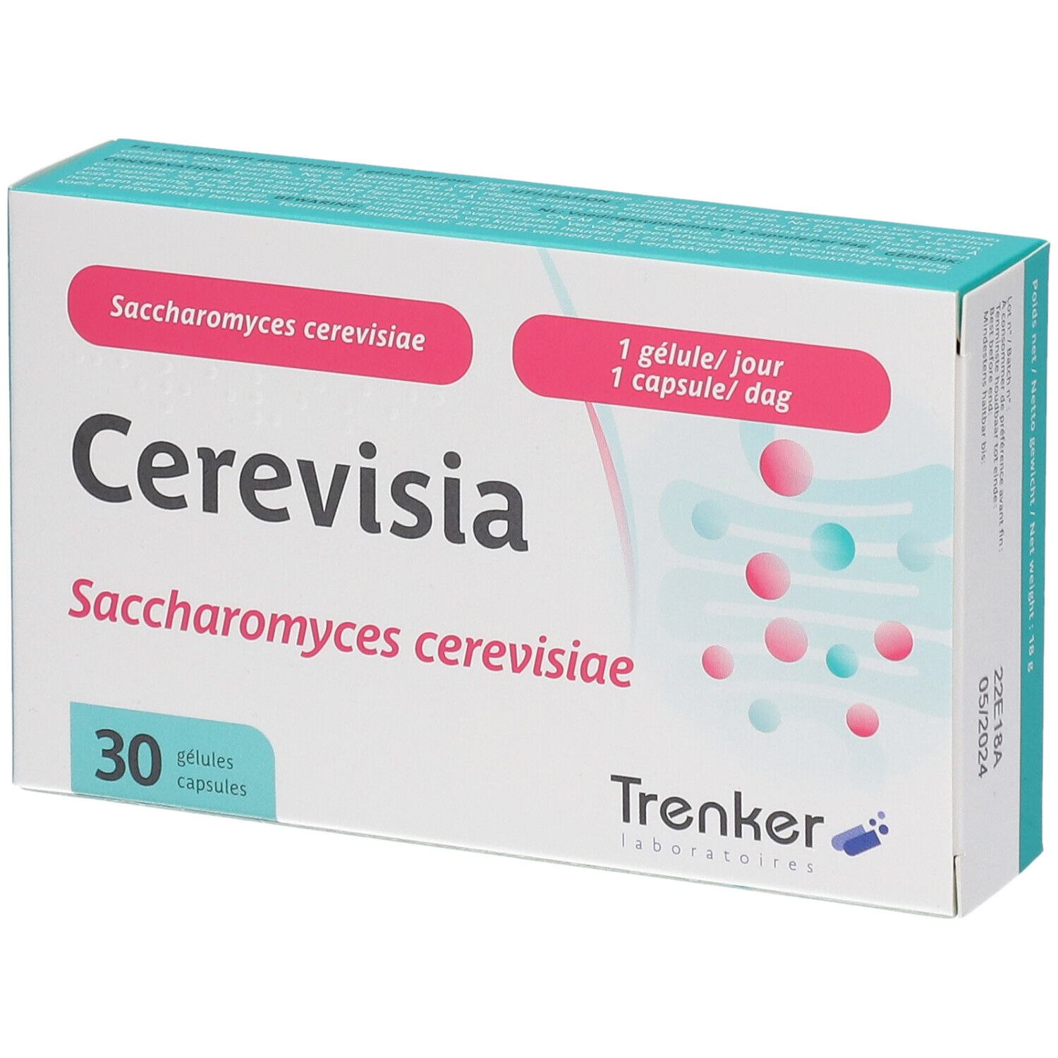 Imutis Cerevisia Packung mit 30 Kapseln für die Darmfunktion.