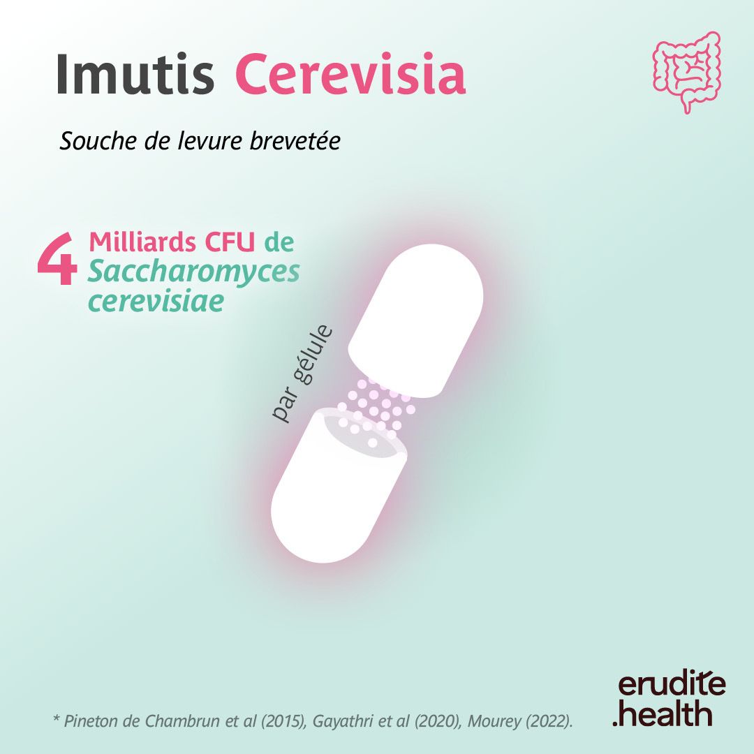 Boîte Imutis Cerevisia, Saccharomyces cerevisiae, 90 gélules, Trenker, pour la fonction intestinale.