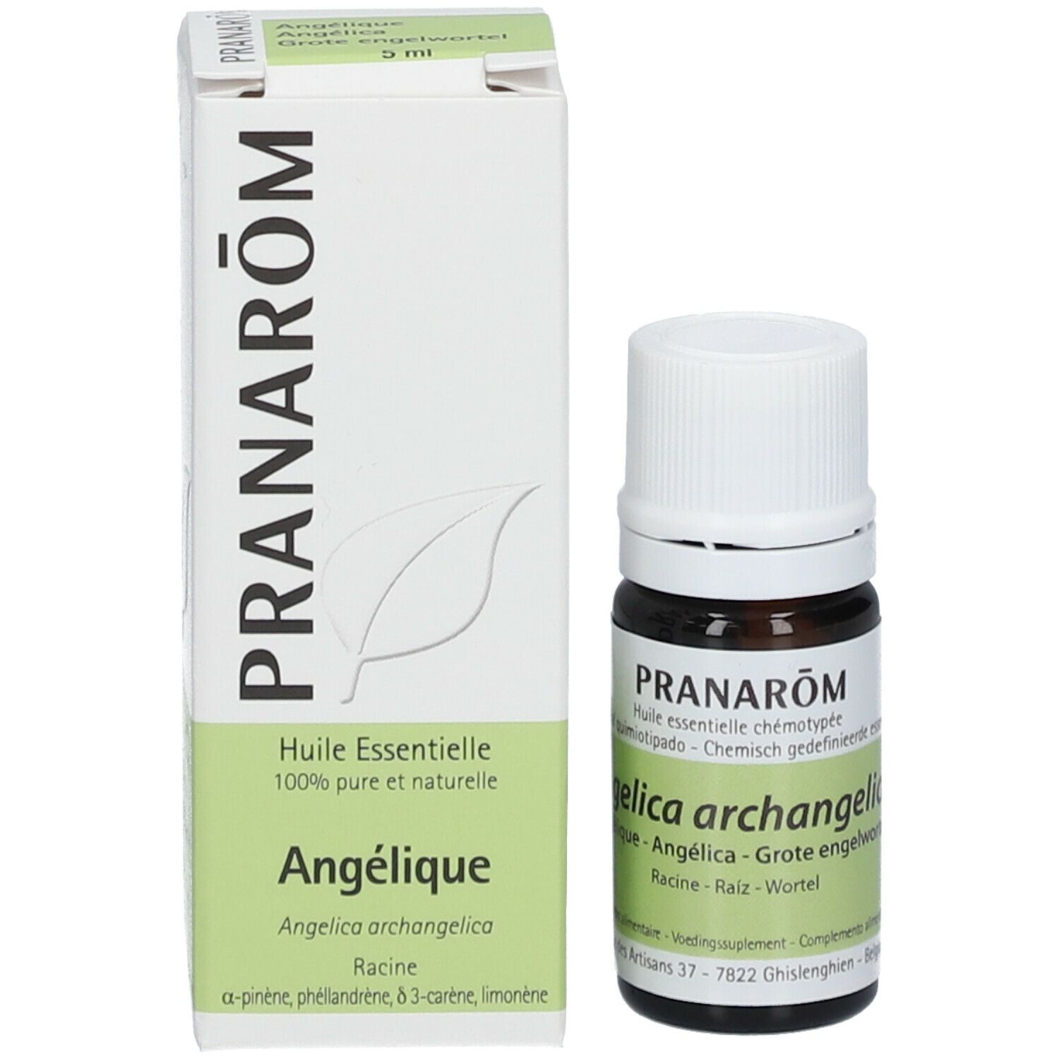 Pranarom Grote Engelwortel