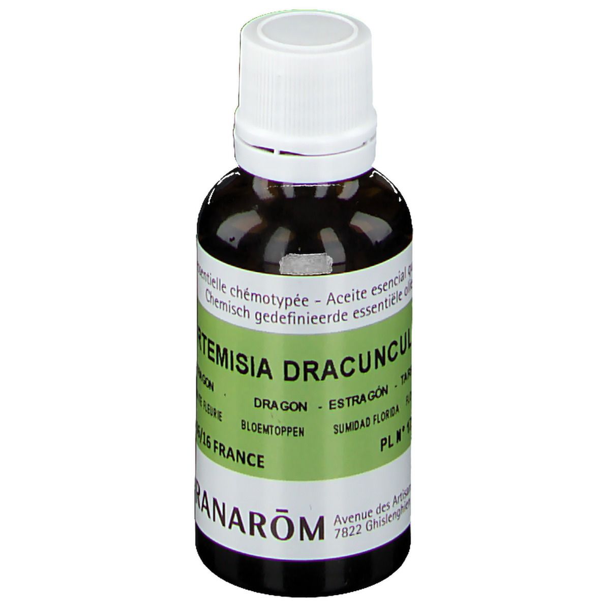 PRANAROM Dragon