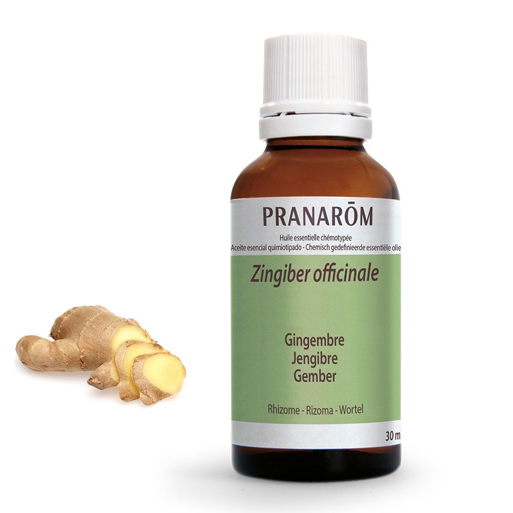 PRANAROM Ingwer