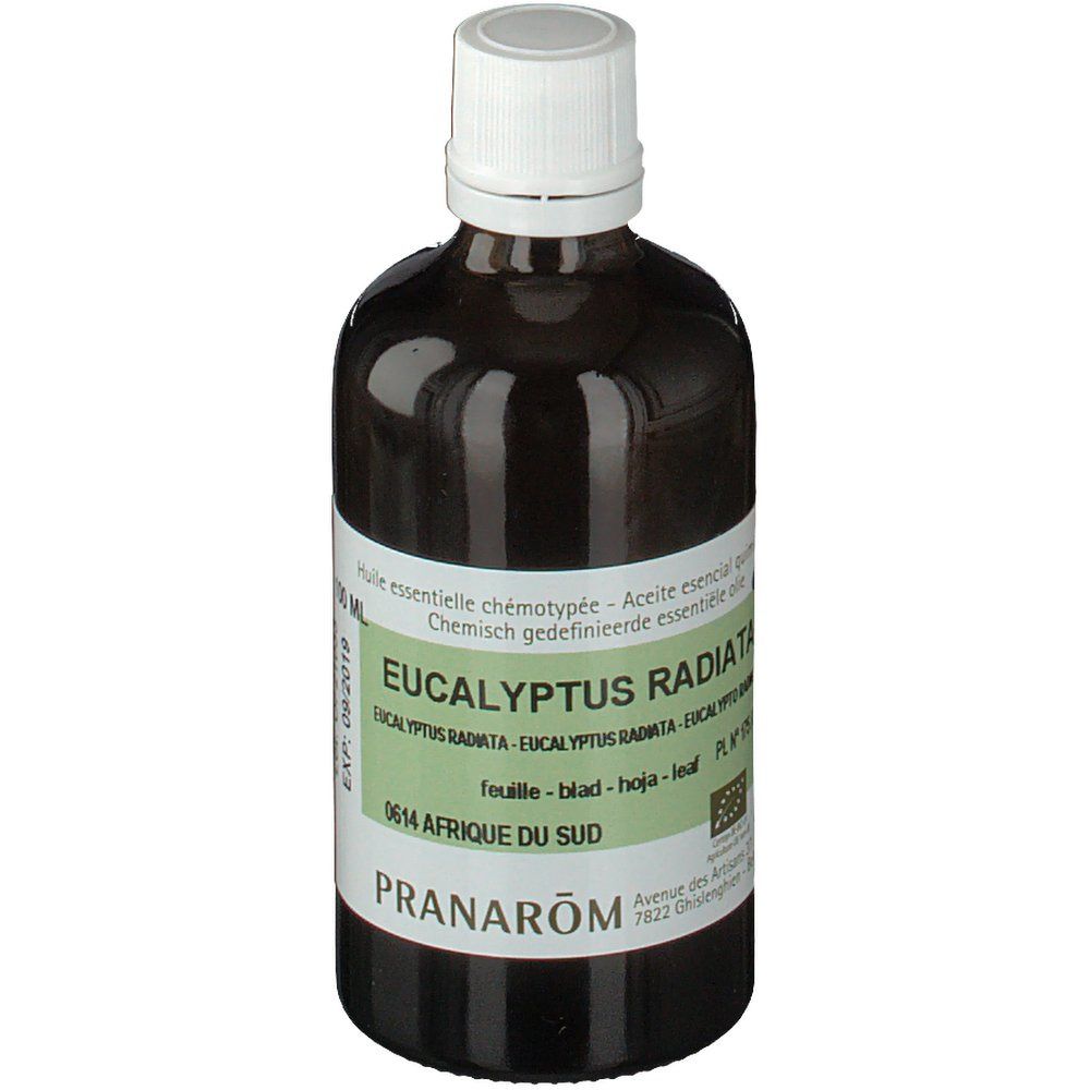 PRANAROM Eukalyptus Radiata