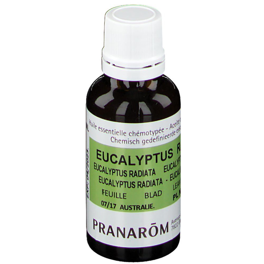 PRANAROM Eukalyptus Radiata