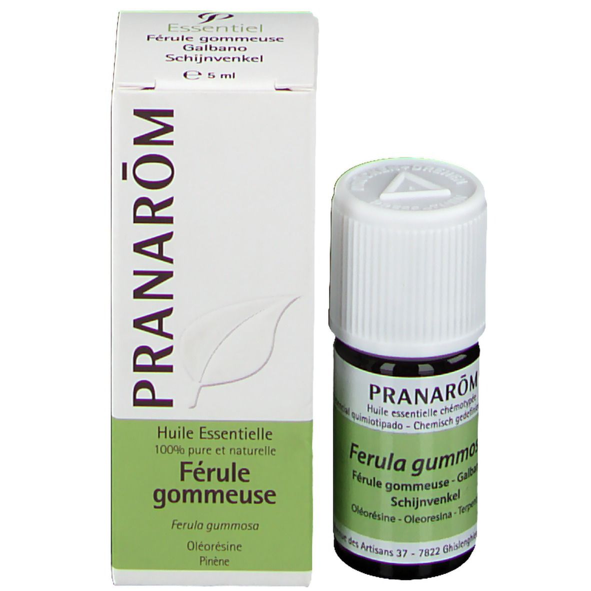 PRANAROM Ferula Gummi