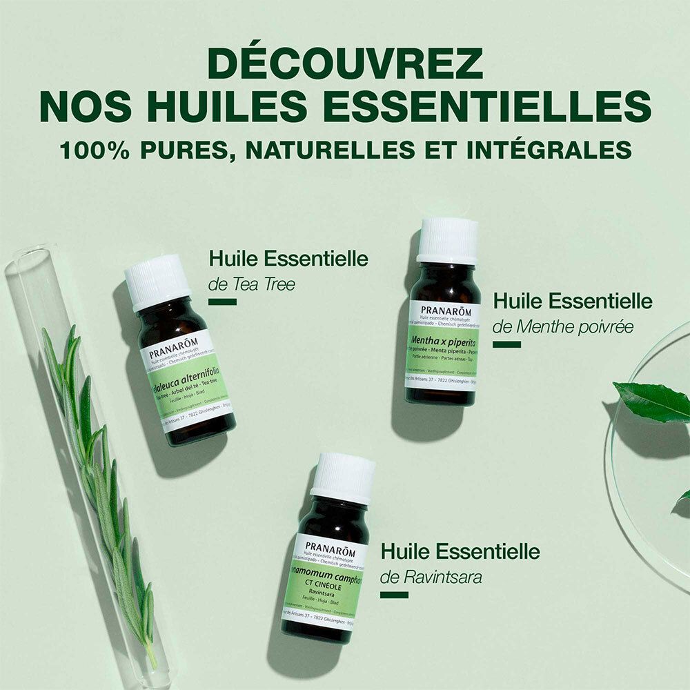 Drei kleine Flaschen. Text: Découvrez nos huiles essentielles. 100% pures, naturelles et intégrales. Verschiedene Sorten.
