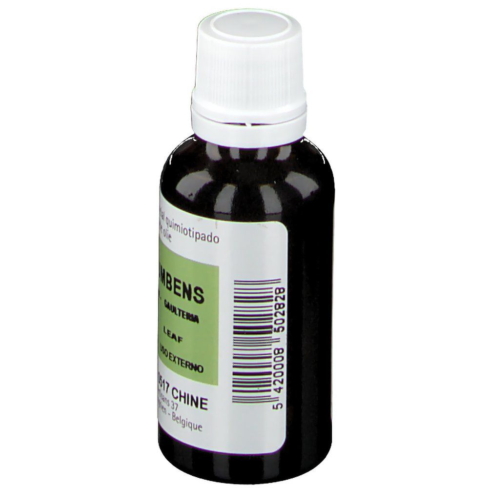 PRANAROM Wintergreen