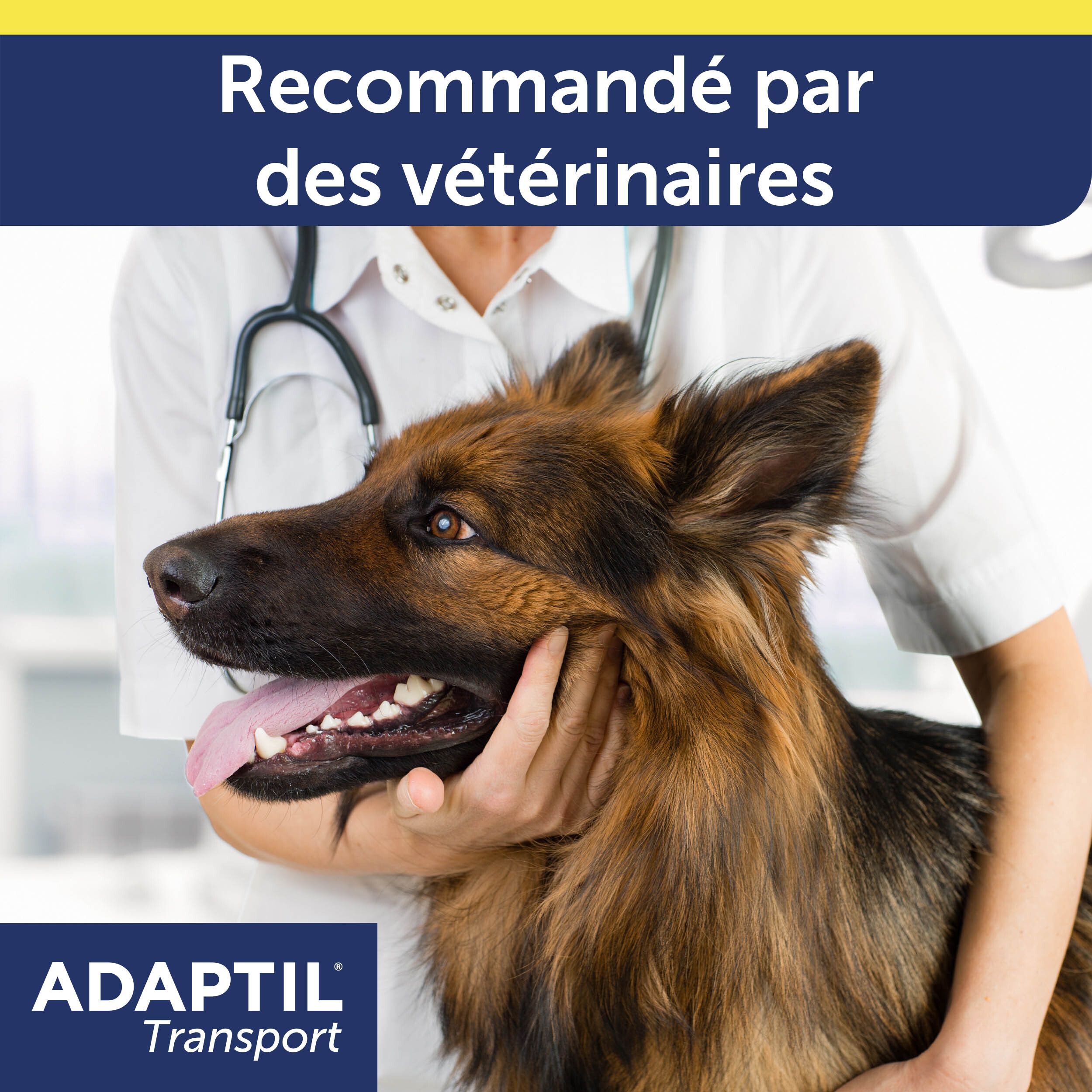 ADAPTIL® Transport Spray pour chien