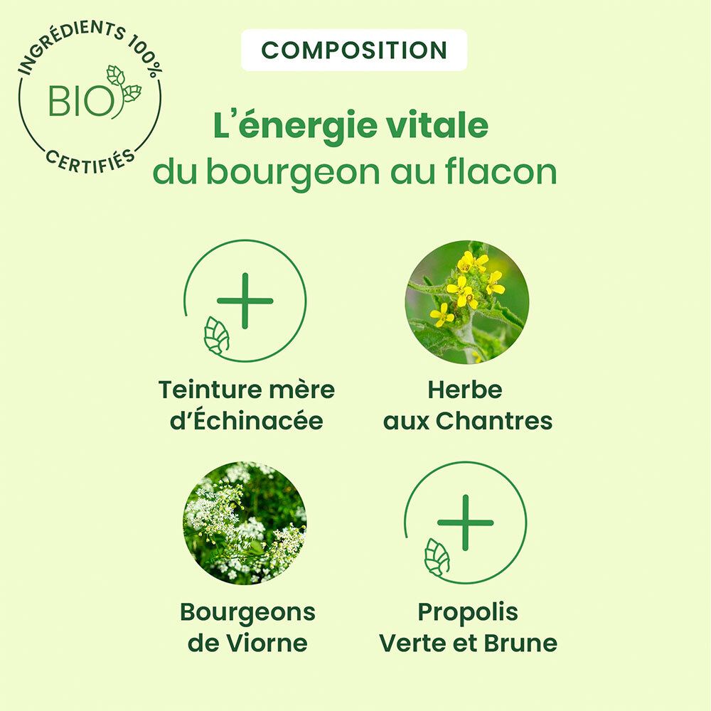 Ingrédients HerbalGem Sirop Apaisant Gorge: Echinacée, Herbe aux Chantres, Fleurs de Sureau, Propolis verte et brune.
