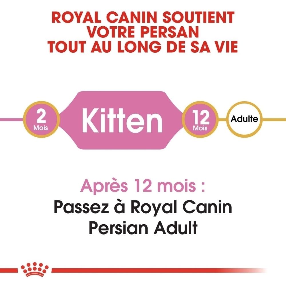 Royal Canin Futterempfehlung für Perserkatzen: Kitten (2 Monate) bis Adult (12 Monate).