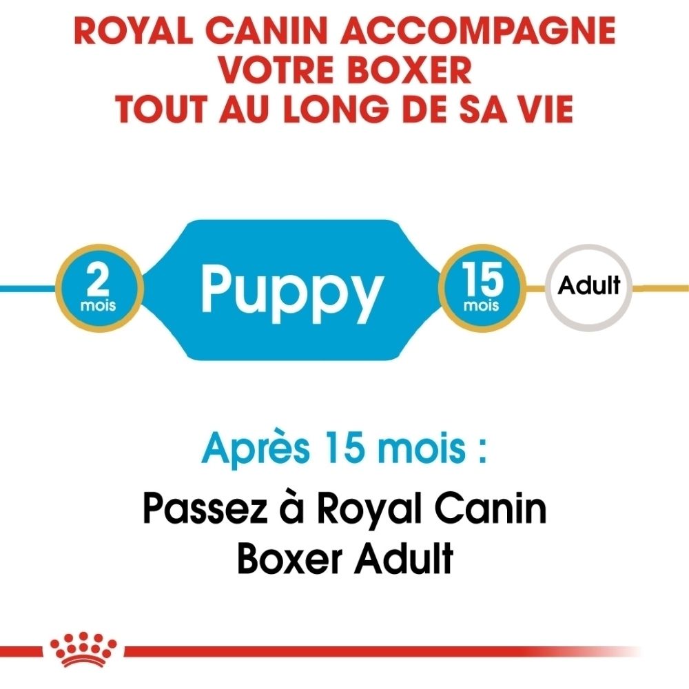 Royal Canin Boxer: Von 2 Monaten (Welpe) zu 15 Monaten (Erwachsener).