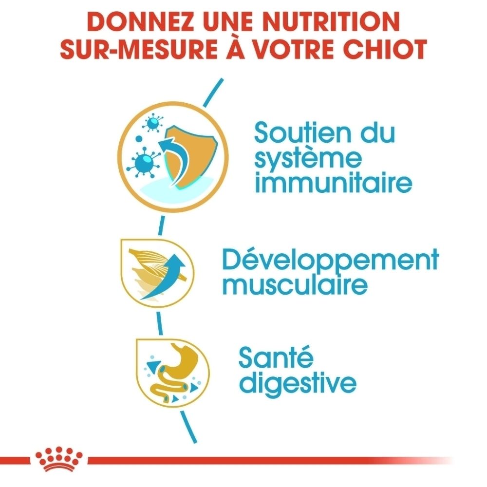 Grafik mit drei Icons: Immunsystem-Schutz, Muskelentwicklung, Verdauungsgesundheit. Text: Maßgeschneiderte Ernährung für Ihr Welpen.