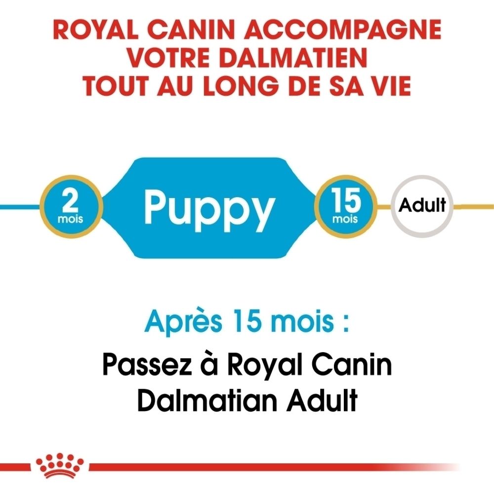 Représentation de croquettes et d'icônes pour le soutien immunitaire et digestif pour Royal Canin Dalmatien chiot.