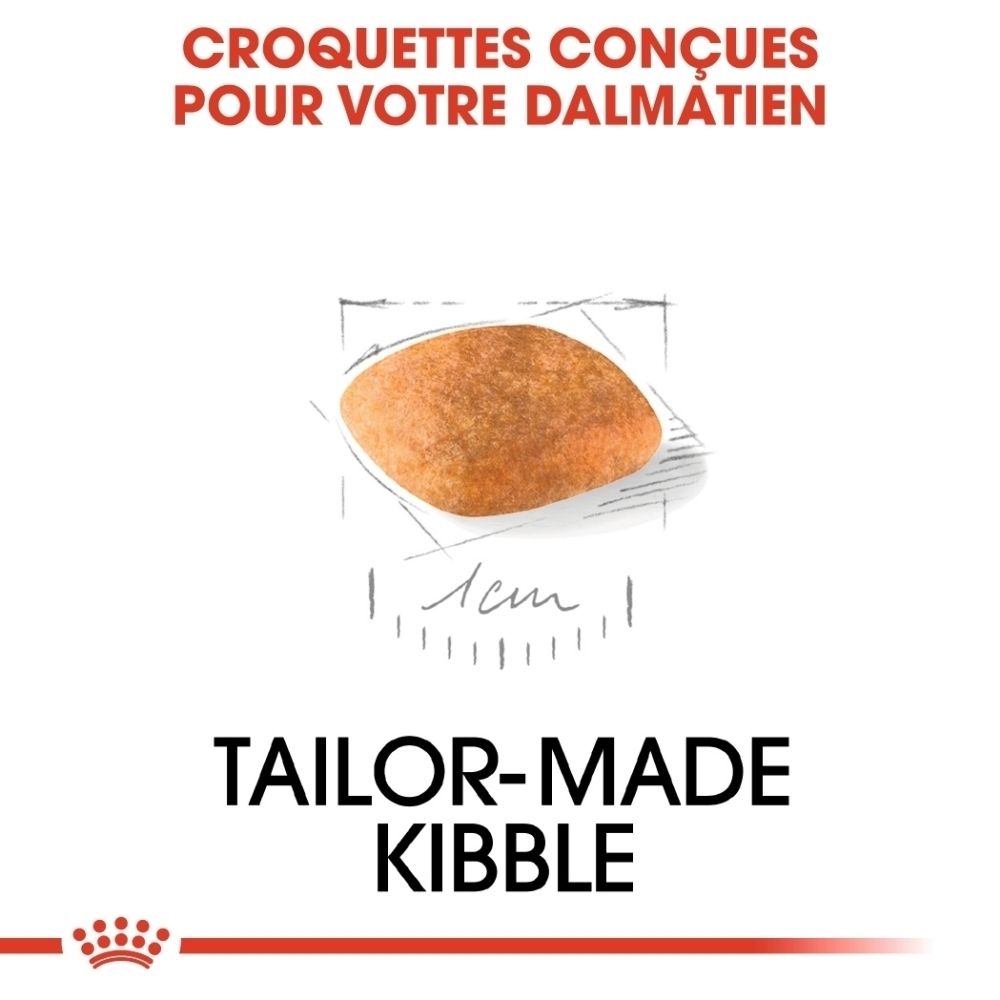 Représentation de croquettes et d'icônes pour le soutien immunitaire et digestif pour Royal Canin Dalmatien chiot.