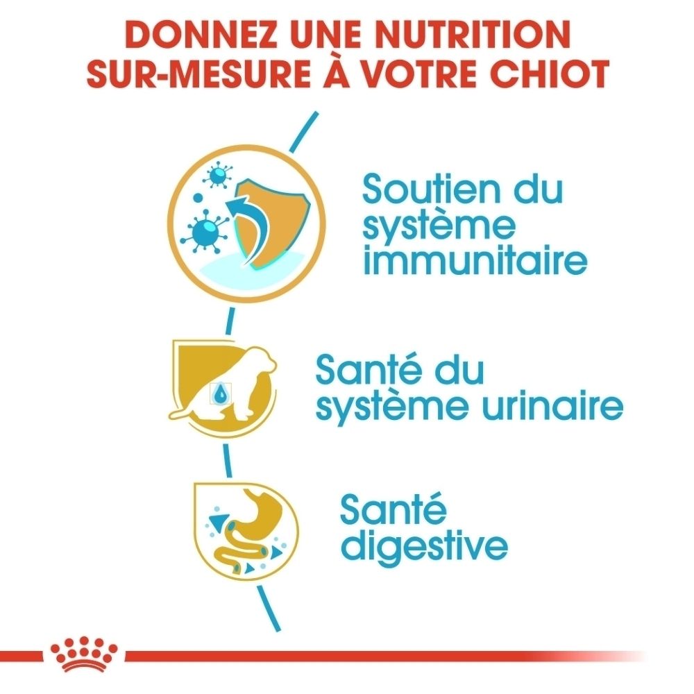 Représentation de croquettes et d'icônes pour le soutien immunitaire et digestif pour Royal Canin Dalmatien chiot.