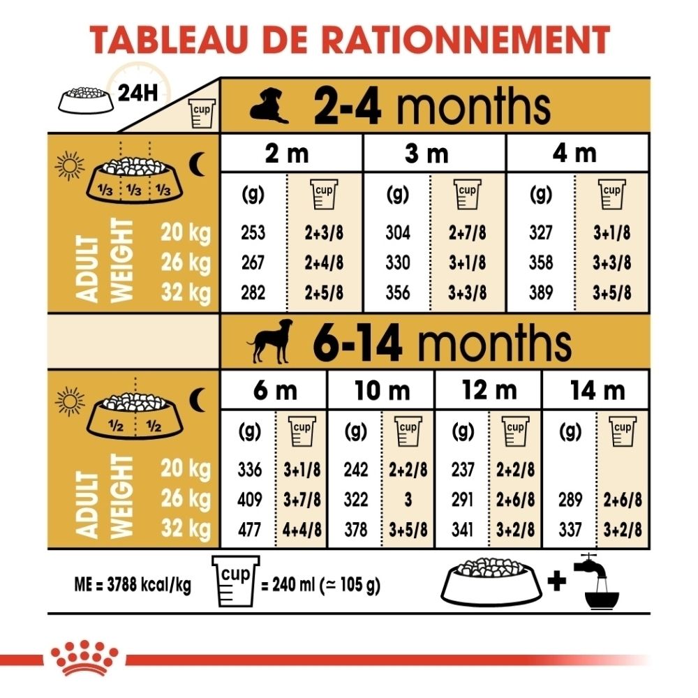 Représentation de croquettes et d'icônes pour le soutien immunitaire et digestif pour Royal Canin Dalmatien chiot.